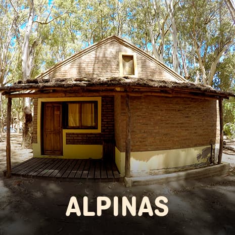 Alpinas